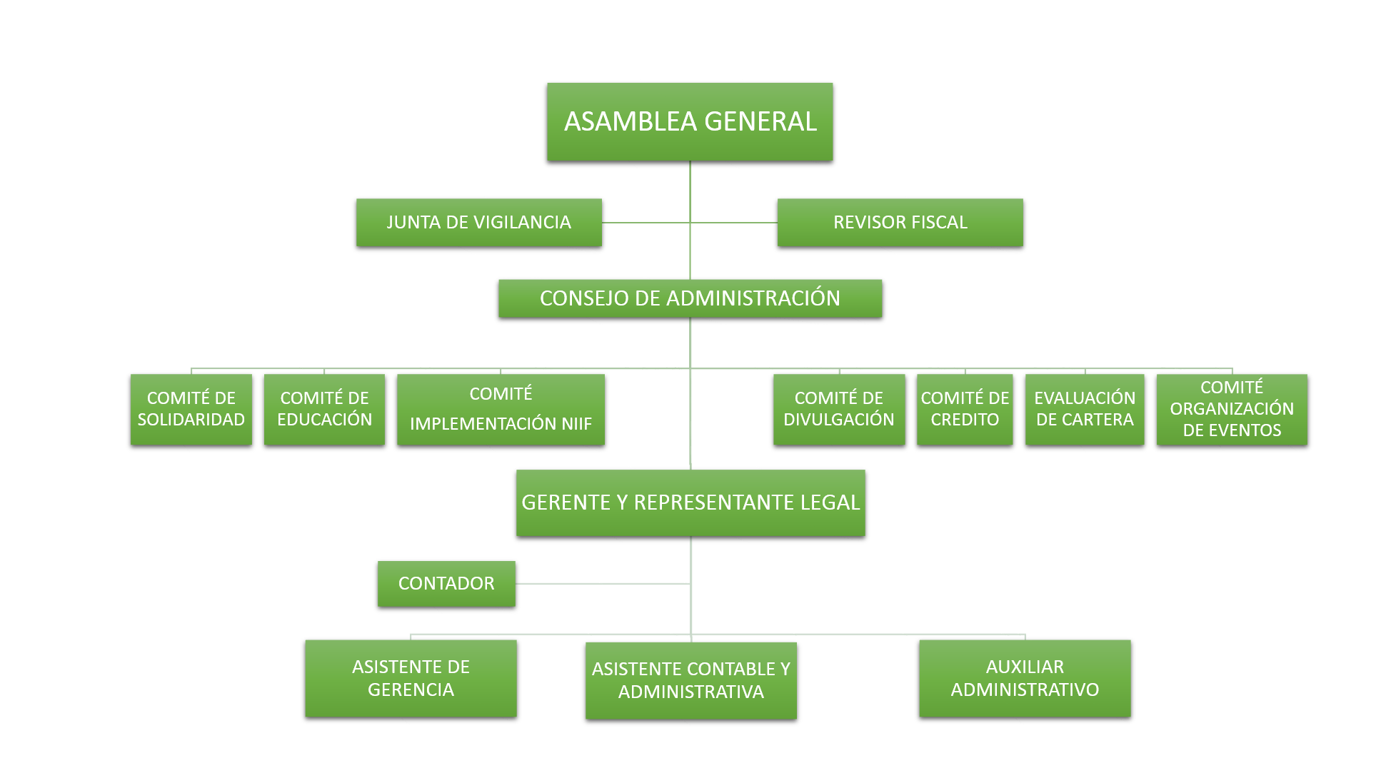 Organigrama Cooptadeo
